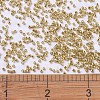MIYUKI Delica Beads SEED-X0054-DB0410-4