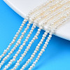 Natural Cultured Freshwater Pearl Beads Strands X-PEAR-N013-02B-1