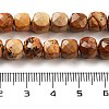 Natural Picture Jasper Beads Strands G-H028-A06-01-5