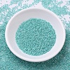MIYUKI Delica Beads SEED-JP0008-DB0079-2