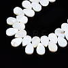 Natural Freshwater Shell Beads Strands SHEL-Q024-007-3