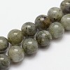 Natural Labradorite Bead Strands G-O155-05B-4mm-1
