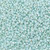 TOHO 11/0 Round Beads X-SEED-TR11-PF2116-2