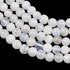 Natural Rainbow Moonstone Round Beads Strands G-E329-4-4.5mm-49-5