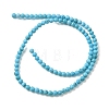 Synthetic Turquoise Beads Strands GG-CBA391B-03C-01-3