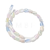 Electroplate Glass Beads Strands EGLA-P065-01A-3