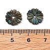 Natural Paua Shell Carved Beads SSHEL-Z002-04-3