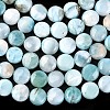 Natural Larimar Beads Strands G-F675-08-2