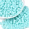 Opaque Baking Paint Glass Seed Beads SEED-T008-02N-1