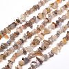 Natural Agate Chip Bead Strands X-G-M205-44-1