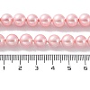 Shell Pearl Bead Strands X-BSHE-L025-06-8mm-7