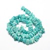 Natural Amazonite Chip Beads Strands X-G-E271-76-2