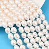Natural Cultured Freshwater Pearl Beads Strands PEAR-F020-24C-1