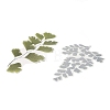 6Pcs Plant PET Adhesive Waterproof Stickers DIY-K074-01A-2