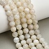 Natural White Moonstone Beads Strands G-L664-A01-8mm-1