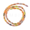 Handmade Lampwork Beads LAMP-B051-02B-2