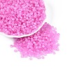 Drawbench Style Glass Seed Beads SEED-N008-11F-1