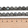 Natural Labradorite Beads Strands G-P336-19-8mm-01-4