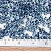 MIYUKI Round Rocailles Beads X-SEED-G007-RR0347-4