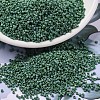 MIYUKI Delica Beads SEED-J020-DB2311-1