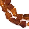 Raw Rough Natural Amber Beads Strands G-B125-C01-01-4