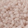 Transparent Colours Glass Seed Beads X-SEED-F006-03A-06-3