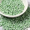 6/0 Opaque Colours Seep Glass Seed Beads X-SEED-F003-04A-06-1