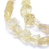 Raw Rough Natural Lemon Jade Beads Strands G-I279-B11-3