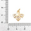 Brass Micro Pave Clear Cubic Zirconia Charms LS-KK-E798-08A-G-3