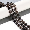 Natural Smoky Quartz Beads Strands G-N342-11-2