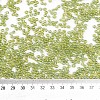 8/0 Glass Seed Beads X1-SEED-A007-3mm-164-3