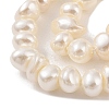 Electroplated Shell Pearl Beads Strands BSHE-C006-06B-3