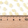 Transparent Colours Glass Seed Beads SEED-R001-01H-6