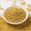 MIYUKI Round Rocailles Beads SEED-X0055-RR4452-2