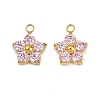 304 Stainless Steel Micro Pave Cubic Zirconia Charms STAS-B088-01G-01-1