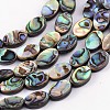 Natural Abalone Shell/Paua Shell Beads Strands SSHEL-G003-8-6x10mm-1