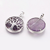 Natural Amethyst Pendants X-G-E388-09P-1