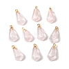 Transparent Resin Imitation Fruit Pendants FIND-E059-02A-1