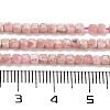 Natural Rhodonite Beads G-H042-B20-01-5