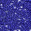 FGB 11/0 Grade A Glass Seed Beads X-SEED-S030-1024-2