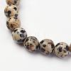 Natural Dalmatian Jasper Stretch Bracelets G-N0262-01-2