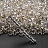 TOHO 3/0 Round Beads SEED-XTR03-0021-2