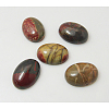 Polychrome Jasper/Picasso Stone/Picasso Jasper Cabochons X-G-H1529-1-1