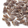 Sea Shell Beads LS-X-SSHEL-S258-03-1