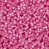 MIYUKI Round Rocailles Beads X-SEED-G009-RR0575-3