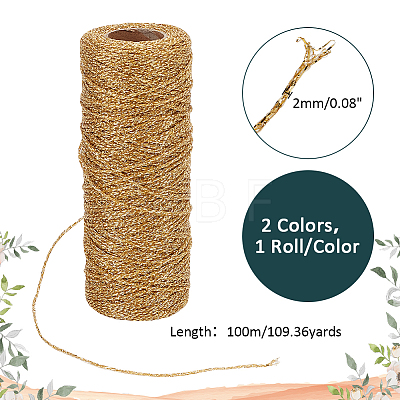 2 Rolls 2 Colors Polyester Braided Metallic Cord OCOR-PH0002-82-1