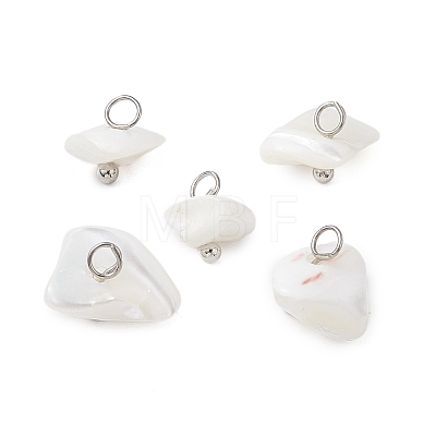 Natural Trochus Shell Nuggets Charms PALLOY-JF03439-02-1