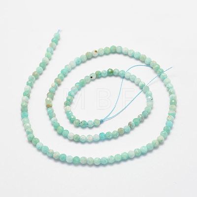 Natural Amazonite Bead Strands X-G-P279-42-3mm-1