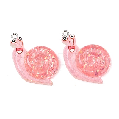 Transparent & Opaque Resin Pendants RESI-P048-02-1