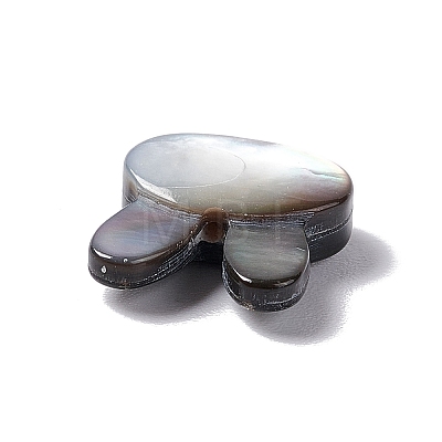 Natural Black Lip Shell Beads BSHE-C003-02A-1